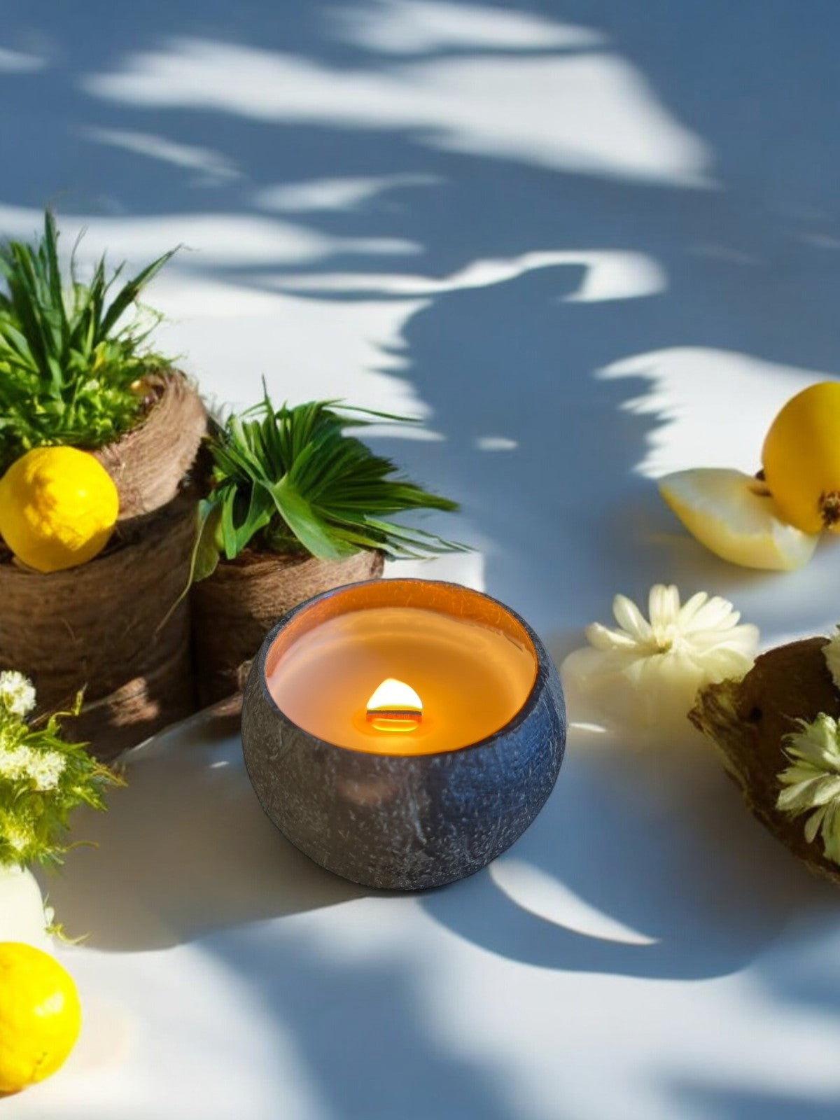 Thai Lemongrass & Coconut™ - Artisan Coconut Bowl Candle