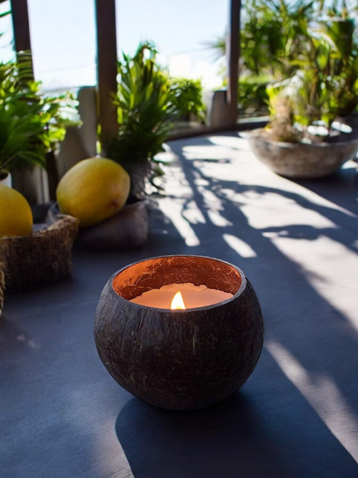 Thai Lemongrass & Coconut™ - Artisan Coconut Bowl Candle