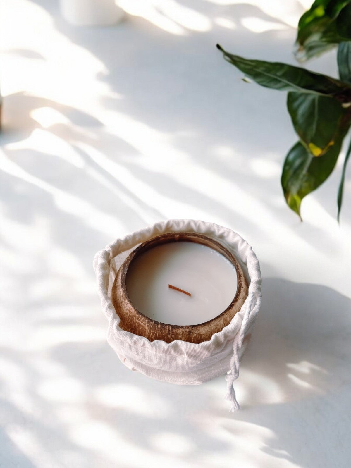 Thai Lemongrass & Coconut™ - Artisan Coconut Bowl Candle